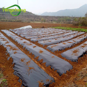 mulching paper agricultural for seeding