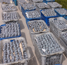 Best Selling Kitchen Cleaning Wire Scourer