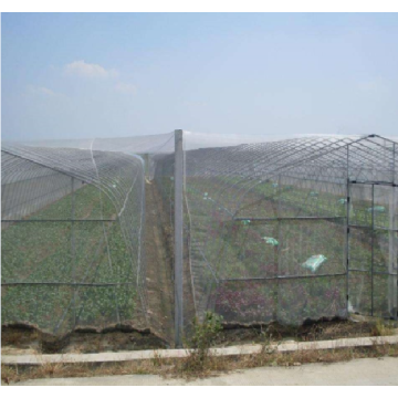 Rede de insetos com efeito de estufa para vegetais