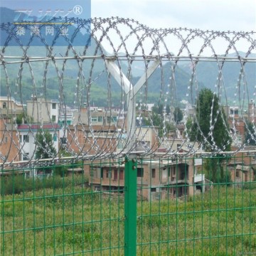 Airport fencing