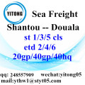 Services de logistique de Shantou à Douala
