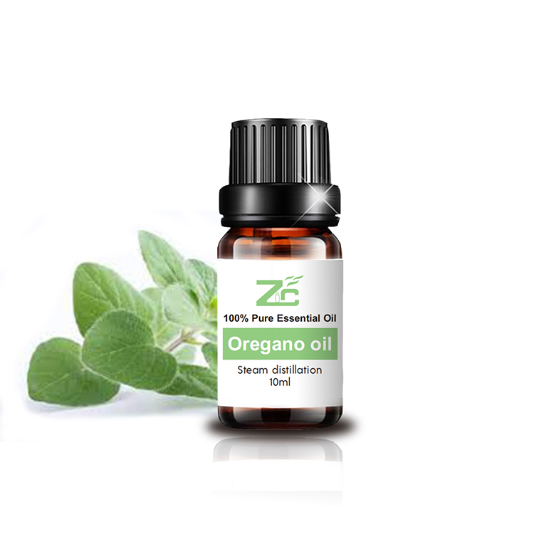 Minyak oregano alami oregano feed aditif oregano oil