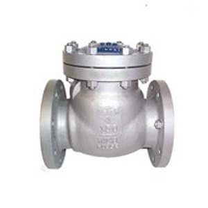 Swing Flange Type Check Valve