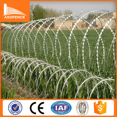 double twist barbed wire/2016 cheap price high zinc barbed wire widely used for safety fence