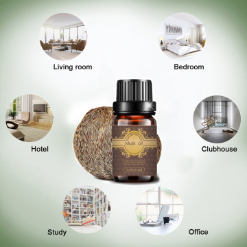 Almizcle 100% de aceite natural puro para perfume de masaje