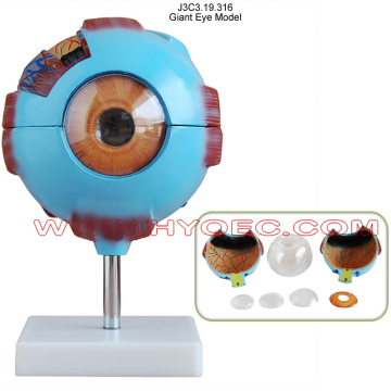 Giant Eye Model-J3C3.19.316