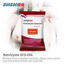 เอนไซม์เติมอาหารสัตว์สำหรับสุกร SFS-056