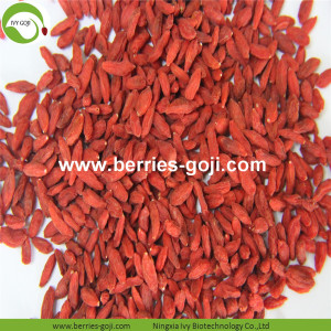 Factory Supply Früchte Top-Qualität 1KG Goji Beere