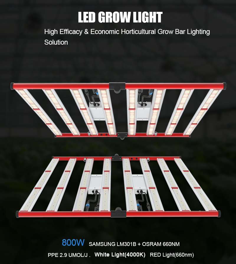 800W LED -anläggning GROW Light Sulight Full Spectrum