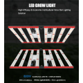 800W LED 플랜트는 밝은 유황 전체 스펙트럼을 재배합니다