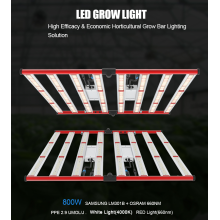 800W LED 플랜트는 밝은 유황 전체 스펙트럼을 재배합니다