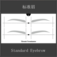 Beginner Makeup tools private label cosmetics eyebrow kit Makeup Plastic Art Eyebrow Shape Stencil Tool