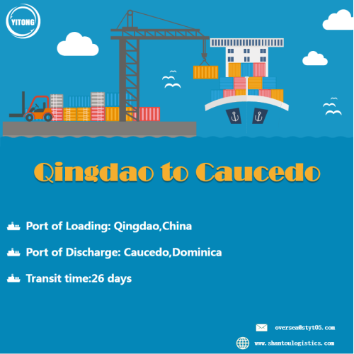 Seefrachtservice von Ningbo nach CaUcedo Dominica