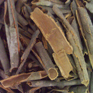 Cassia Bark