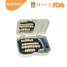 Acrylic Teeth Maist DENTURE CARE BOX