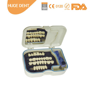 Acrylic Teeth Maist DENTURE CARE BOX