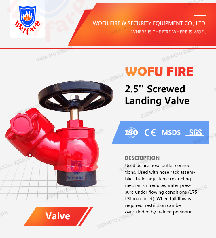 2-1/2'' BS336 Flanged Type fire hydrant landing valve parts