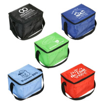 coolers bag