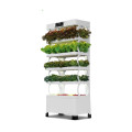 Kommerzielle Indoor Smart Garden Hydroponik Intelligent