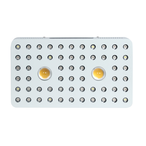 Phlizon COB -serie 1000W LED -plant groeilicht