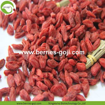 Factory Supply Fruits Dried Mechanical Drying Goji Berry