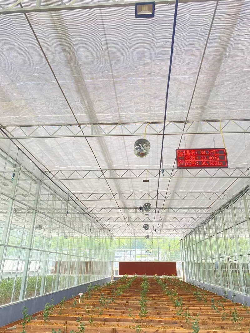 Modern Dağ Tarımını Güçlendirmek: Qingcheng Tarımın Akıllı Cam Sera Projesi Youyang'da Başlıyor Empowering Modern Mountain Agriculture: Qingcheng Agriculture’s Smart Glass Greenhouse Project Launches in Youyang