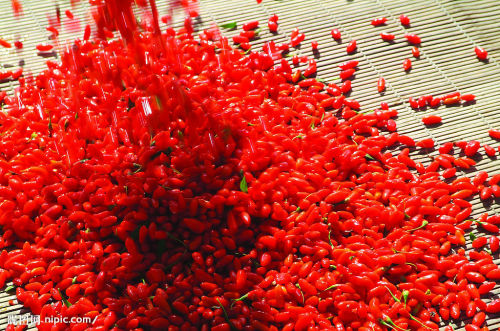 Chinese Dried Wolfberry Goji Berries