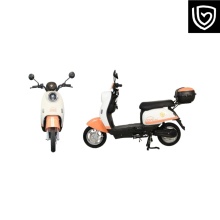 Multi-functional all-terrain electric vehicle