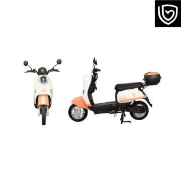 Multi-functional all-terrain electric vehicle