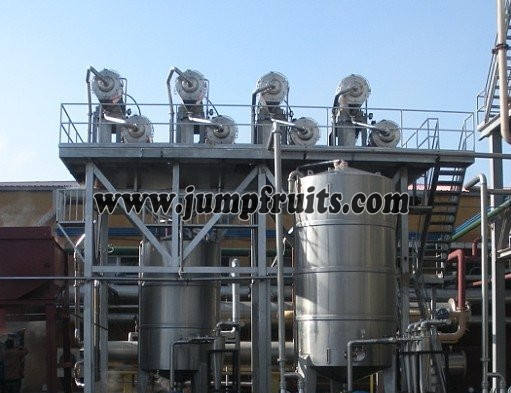 tomato jam processing plant