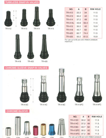 passenger car tyre valve