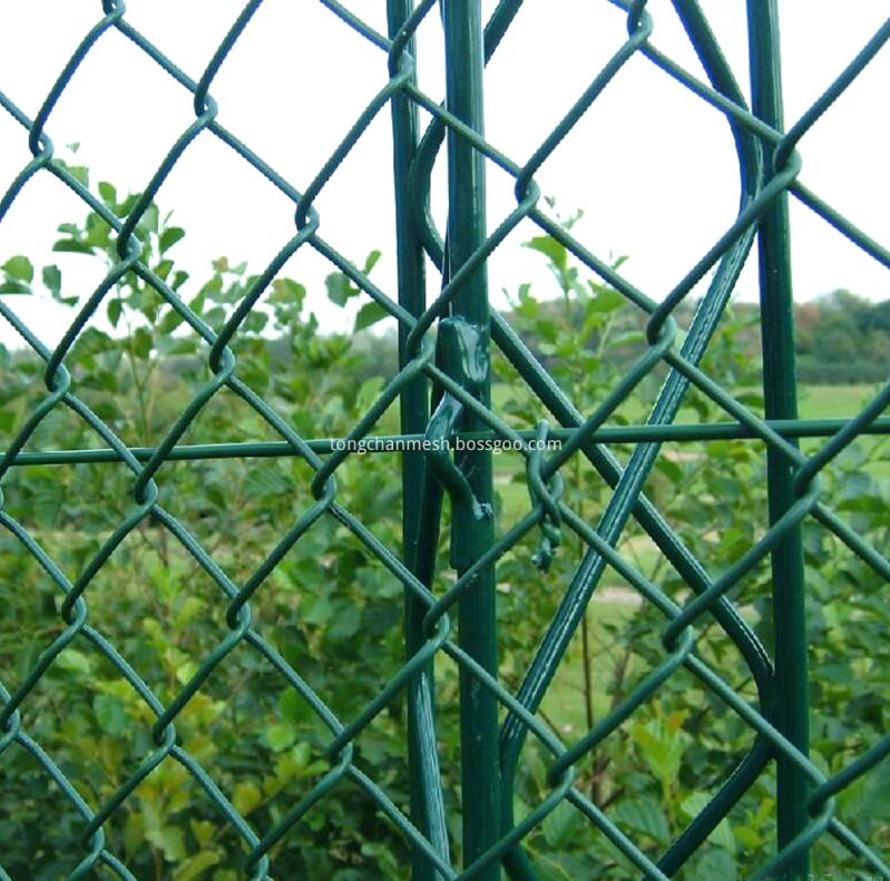 PVC Coated Chain Link Mesh