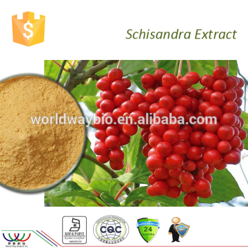 HACCP Kosher cGMP FDA liver protecting product schisandra chinensis extract schisandra berries extract schisandrin extract