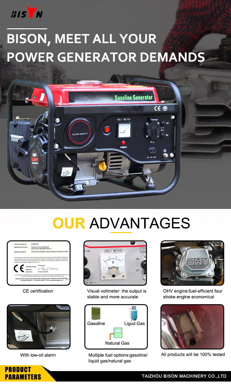 BISON CHINA 1000 watt Natural Gas Generator Single Cylinder OHV Portable 1kw Gasoline Generator