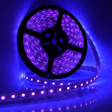LED UV Ultraviolet 395nm 5050 SMD Blacklight Strip LED Lights