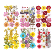 Colorful Handcrafted Dried Flower Bulk Pack for Art Crafts