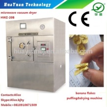 Microwave Vacuum Dehydrator For Banana Chip