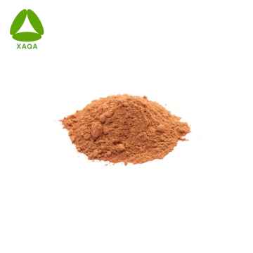 Nature Lemon Myrtle Leaf Extract Powder 10:1