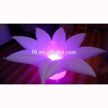 Custom Inflatable Flower / LED Flower / Valentine's Flower