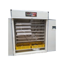 1056 PCS Chicken Egg Incubator / Setter and Hatcher / Egg Hatching Machine LK-1056
