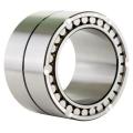 Double Row Cylindrical Roller Bearing (NN3092K/W33)