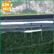 High quality Hail protection nets for agriculture China factory
