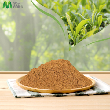 Green Tea Powder Enhanced by Premium Extract Technology