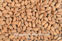 Roasted Almonds