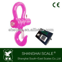 10000kg Printing Crane Scale