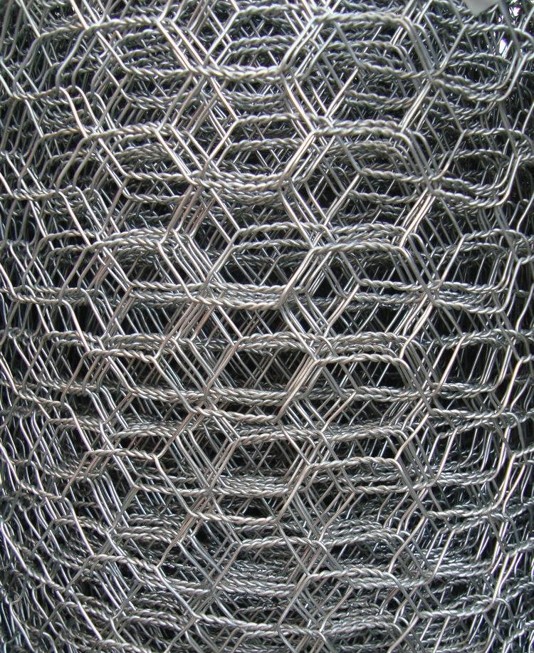 Electro Galvanized Hexagonal Wire Netting2