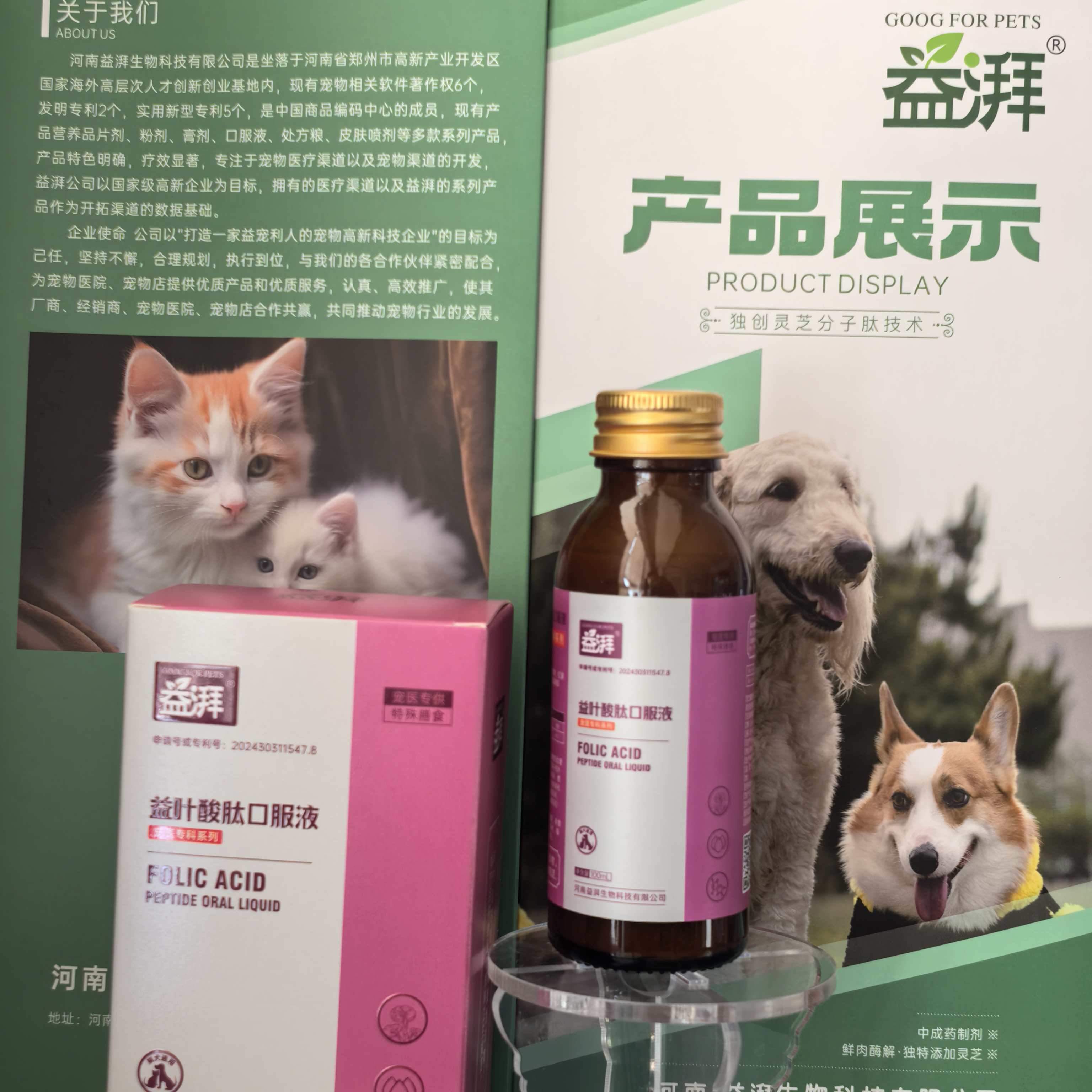 Cogumelo Reishi com Folato para Animais de Estimação16 Reishi Mushroom with Folate for Pets16