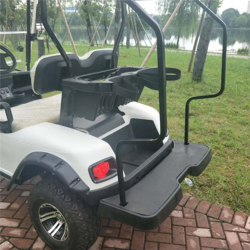 2 Sitze 4WD Elektro Off Road Golf Cart