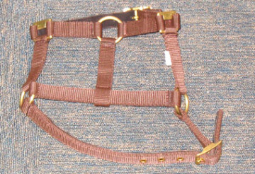 Headstall (HS-03)