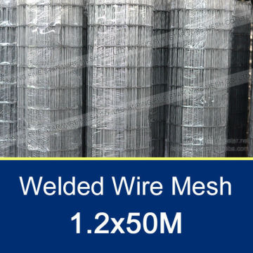 10mm*0.8mm Welded Wire Mesh for Farming